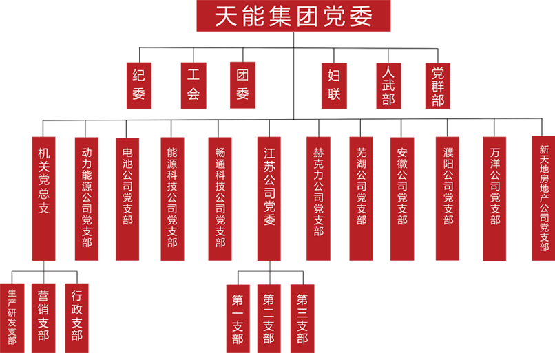 九游老哥建团党委组织架构